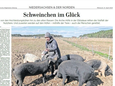 Hannoversche Allgemeine Zeitung 12.04.2023 - Schweinchen im Glück - PDF 650 KB