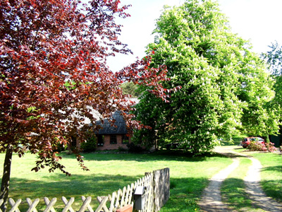 Hofansicht mit blühendem Kastanienbaum