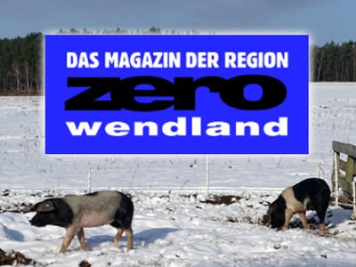 Artikel in der Online-Ausgabe von Zero, Link zur PDF